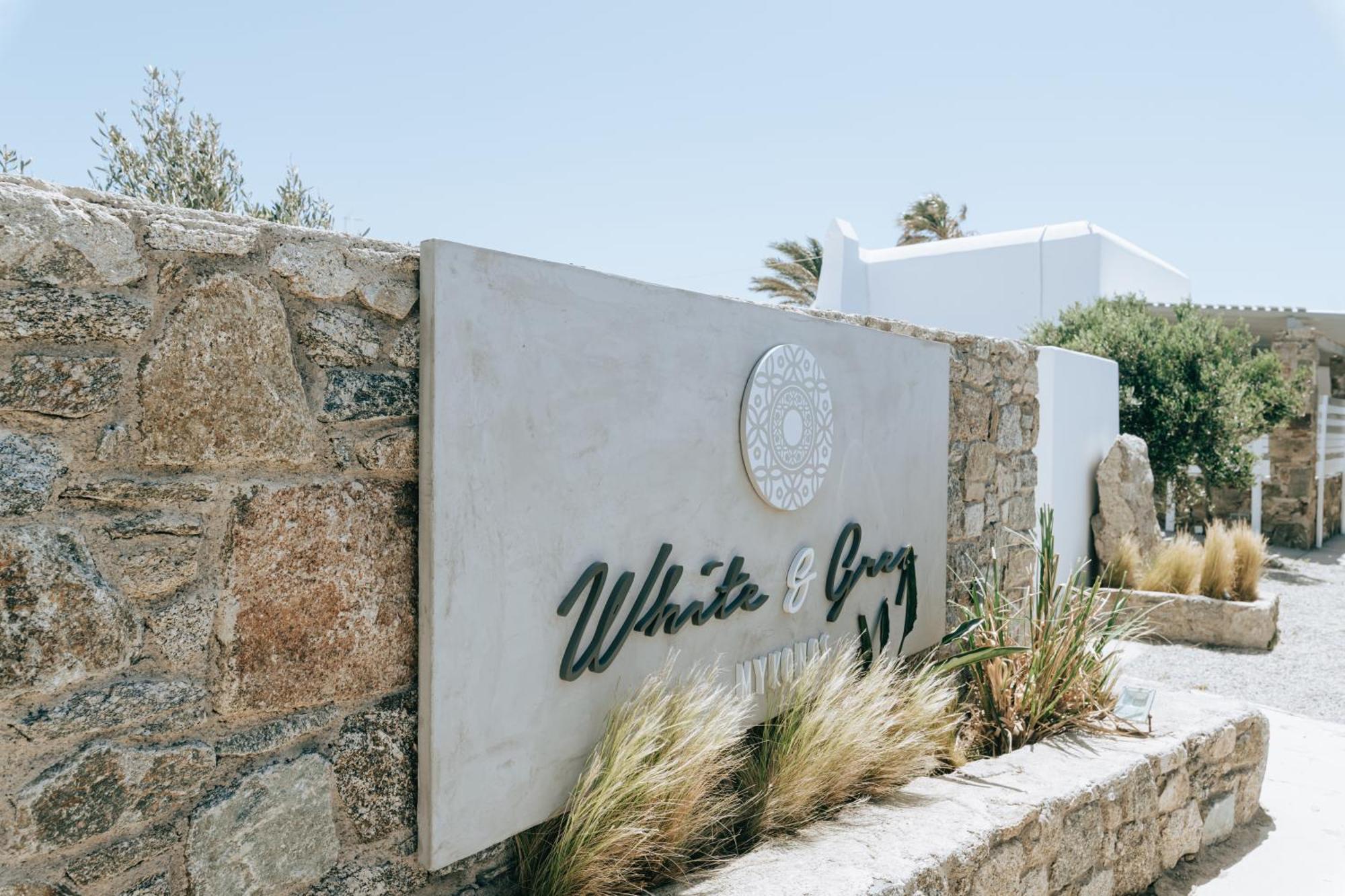 White And Grey Lägenhet Mykonos Town Exteriör bild